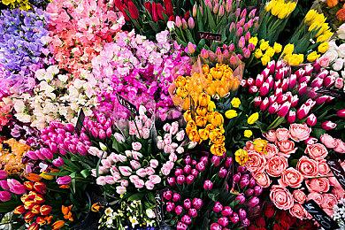 Fami通本周最新评分 《怪物猎人物语2》进入白金殿堂